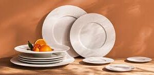 Vaisselles professionnelles